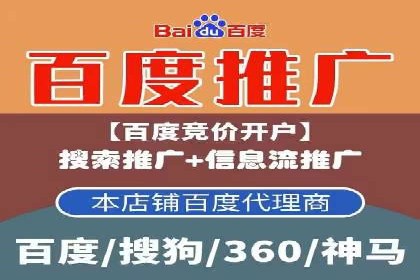 SEM代理操作技巧：成功案例揭秘